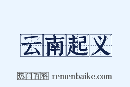 云南起义是什么意思的图片